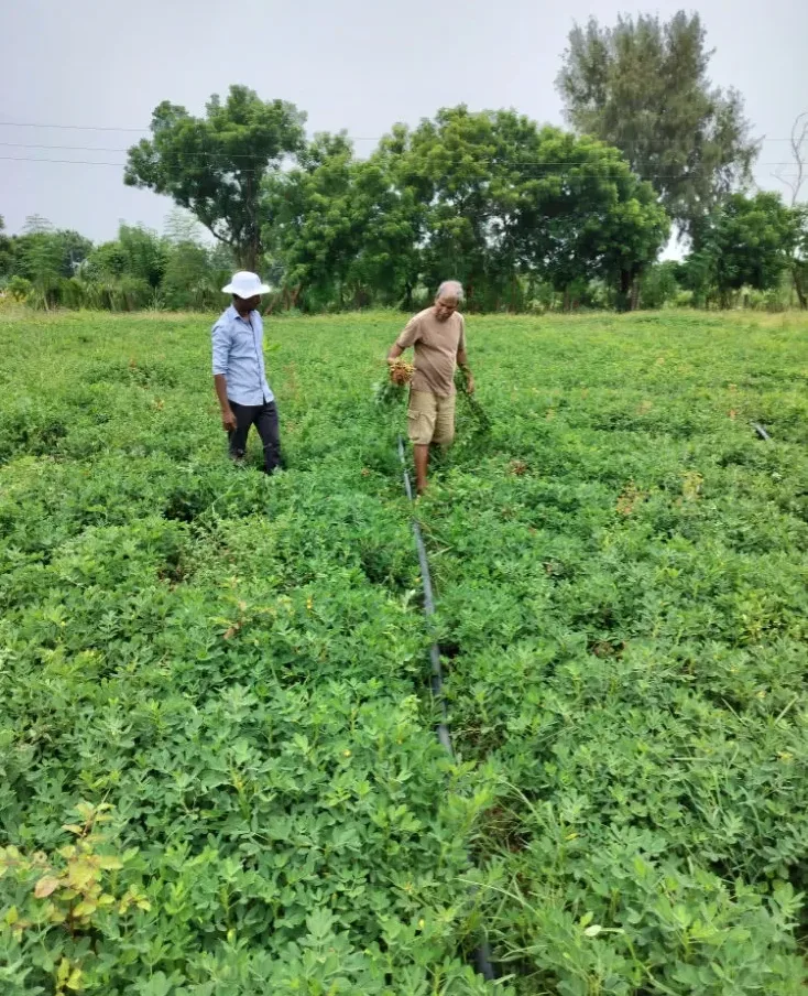 Natural Farming 